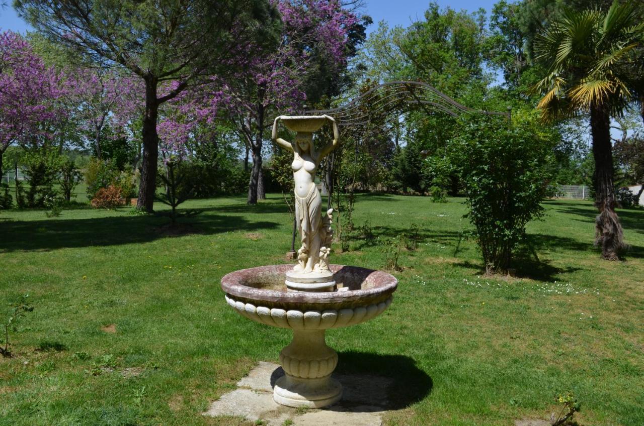 La Louisiane 31 Bed & Breakfast Villefranche-de-Lauragais Exterior photo
